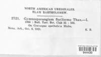 Image of Gymnosporangium floriforme